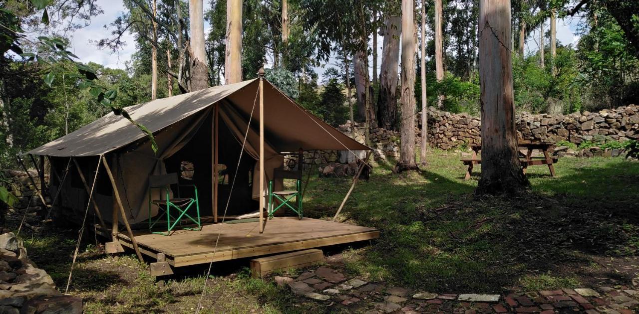 Tegwaan Country Getaway Villa Waterval Boven Dış mekan fotoğraf