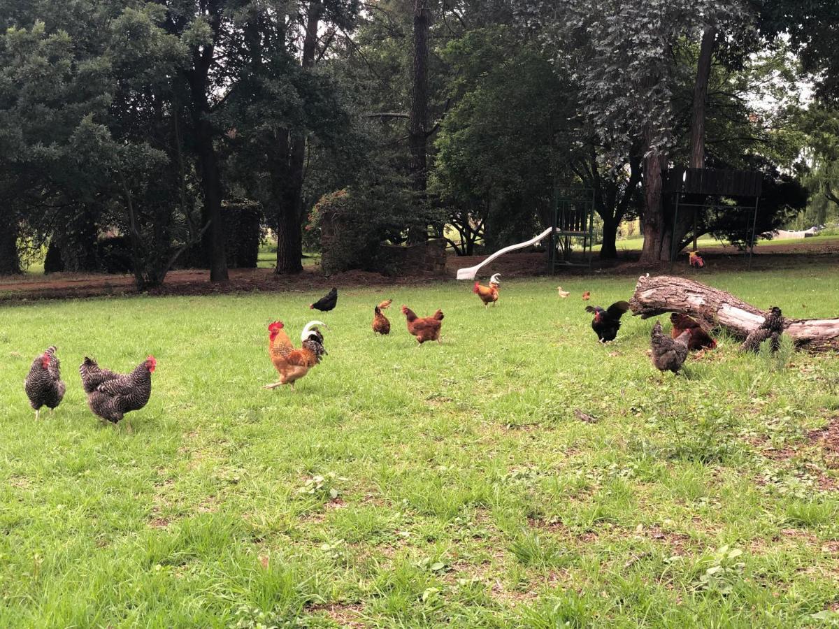 Tegwaan Country Getaway Villa Waterval Boven Dış mekan fotoğraf