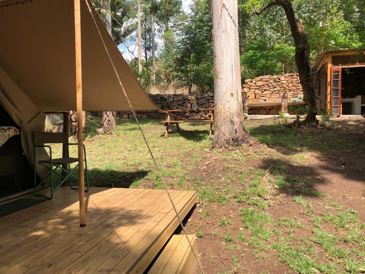Tegwaan Country Getaway Villa Waterval Boven Dış mekan fotoğraf